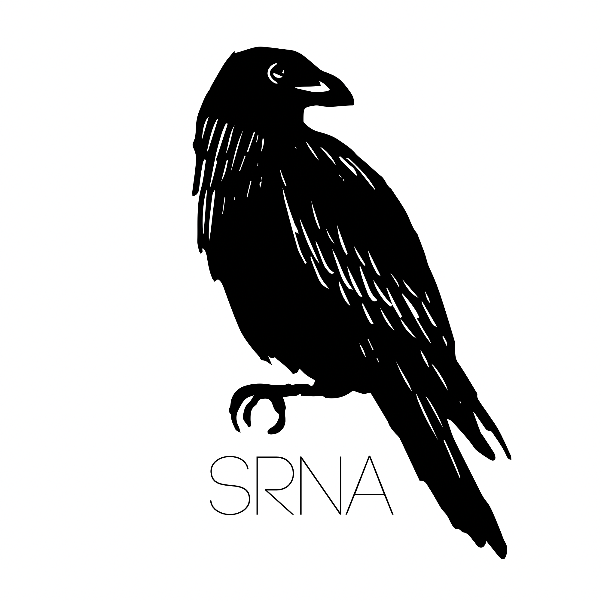 SRNA Logo